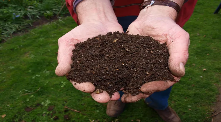 Lo que nunca debes de arrojar a tu compostador
