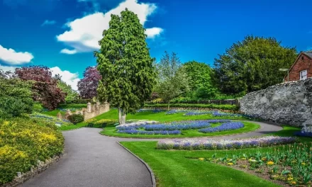 Mayo en el jardín: ¿qué trabajo de jardín hacer?