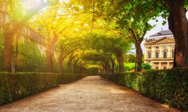 Jardín de estilo italiano: ¿qué lo caracteriza y cómo organizarlo?