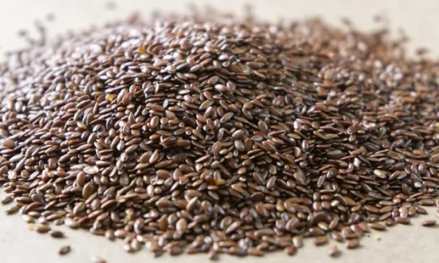 ¿Cuándo comer linaza? ¿Por la mañana o por la noche?