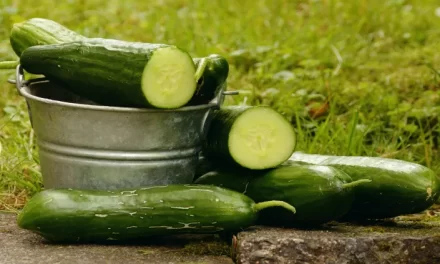 ¿Qué plantar junto a los pepinos?