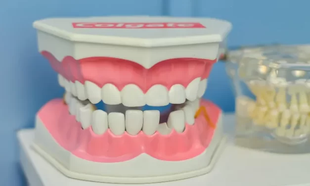 Periodoncia: ¿por qué necesitas y cuándo debes visitar al periodoncista?