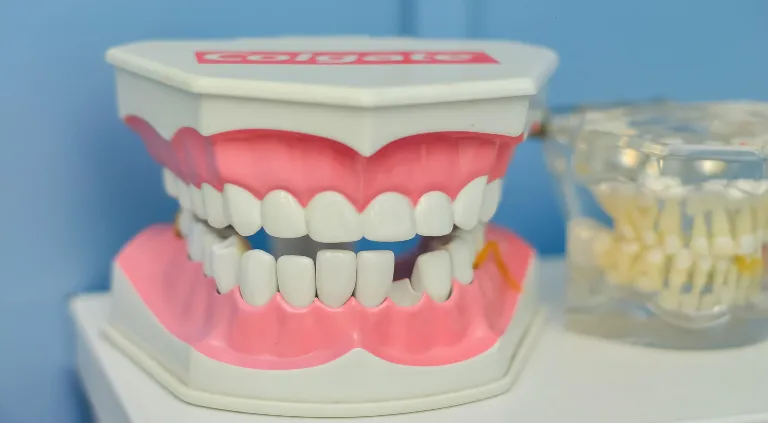 Periodoncia: ¿por qué necesitas y cuándo debes visitar al periodoncista?