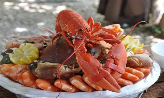 Beneficios de comer pescados y mariscos