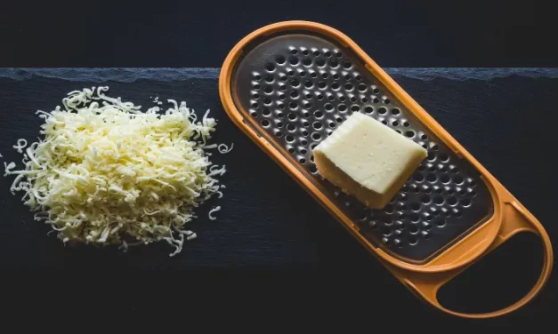 ¿Cuáles son los tipos de queso más saludables?