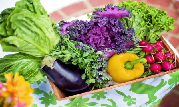 ¿Qué verduras crecen mejor a la sombra?