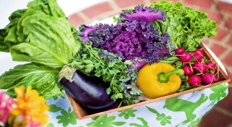 ¿Qué verduras crecen mejor a la sombra?