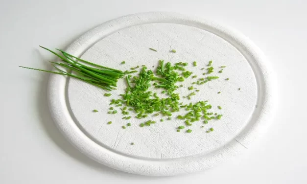 Plantación de cebollino a partir de semillas: Todo lo que debes saber