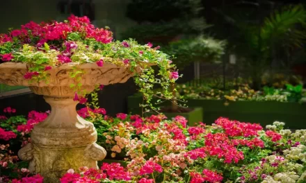 Abril en el jardín: ¿qué trabajo debemos llevar a cabo?