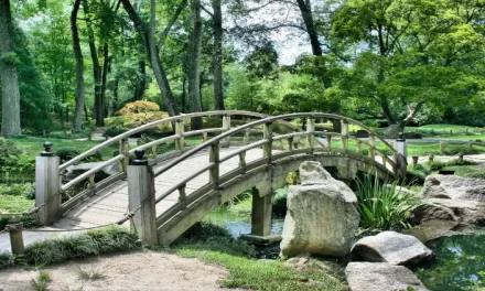¿Cómo organizar un jardín al estilo Zen?