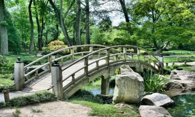 ¿Cómo organizar un jardín al estilo Zen?