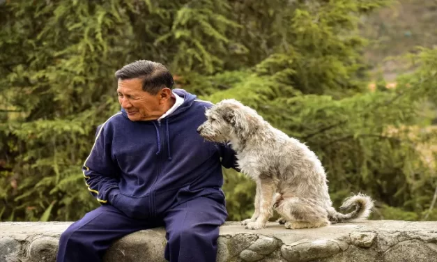 Los beneficios de las mascotas en la salud física y mental