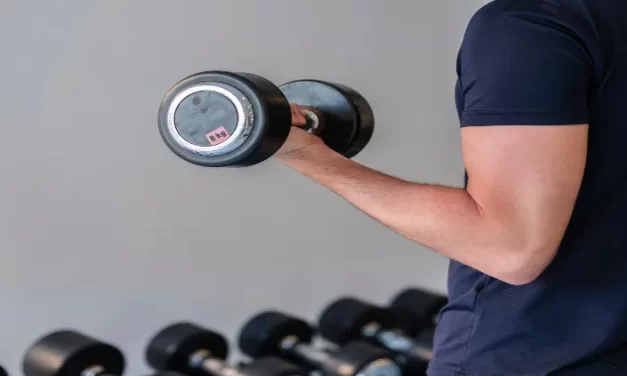 ¿Cuáles son los nutrientes más importantes a la hora de construir músculo?